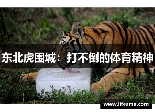 东北虎围城：打不倒的体育精神